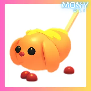 CORN DOGGO