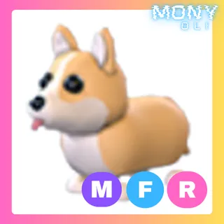 MFR CORGI