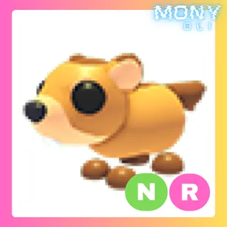 NR GROUNDHOG