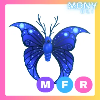 MFR MOONBEAM BUTTERFLY