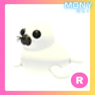R HARP SEAL