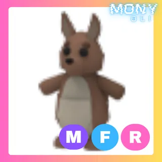 MFR KANGAROO
