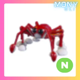 NEON SPIDER CRAB