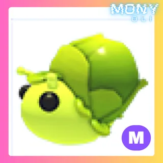 MEGA NEON Sprout Snail 