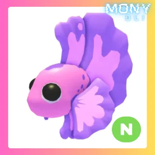 NEON PINK BETTA FISH