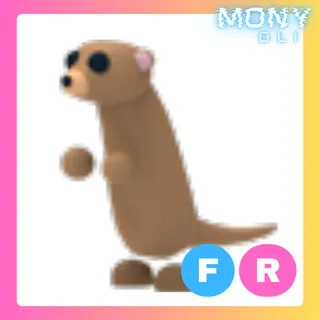 FR MEERKAT 