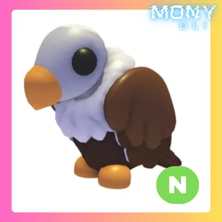 NEON VULTURE 
