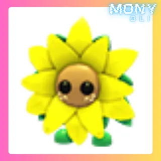 SUNFLOWER FRIEND