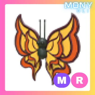 MR BIRTHDAY BUTTERFLY 2023