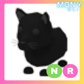 NR BLACK PANTHER