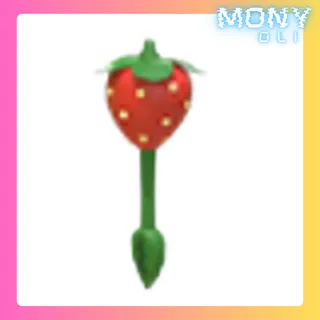 STRAWBERRY RATTLE