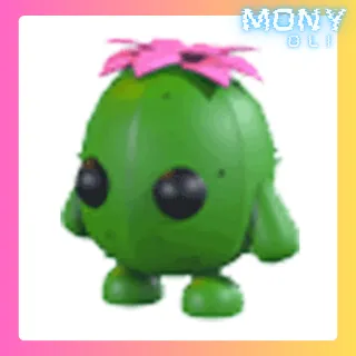 CACTUS FRIEND