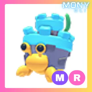 MR CASTLE HERMIT CRAB