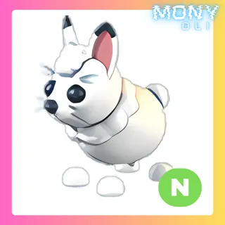 ARCTIC HARE NEON
