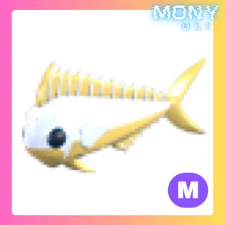 MEGA NEON GOLD MAHI MAHI