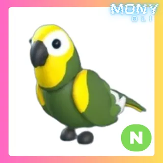 NEON GREEN AMAZON 