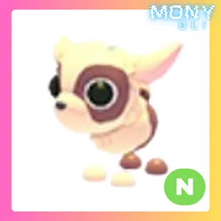 NEON KID GOAT 
