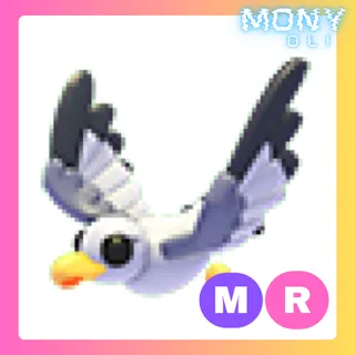 MR SEAGULL 
