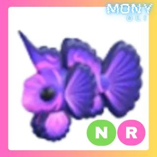 NR SINGULARITY PISCES 