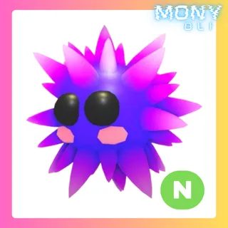 NEON URCHIN