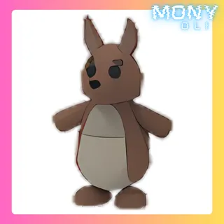 KANGAROO