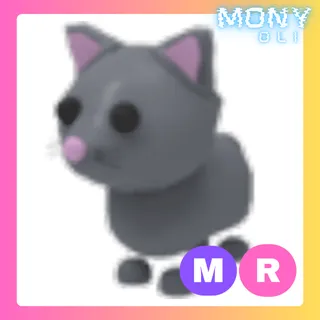 MR CAT