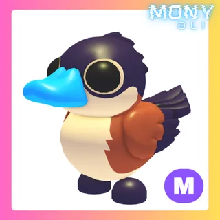 MEGA NEON RUDDY DUCK