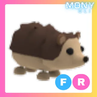FR HEDGEHOG