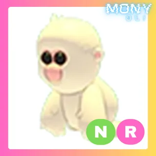 NR SNOW MONKEY
