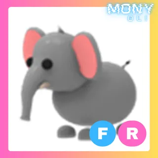 FR ELEPHANT