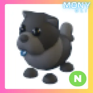 NEON BLACK CHOW CHOW