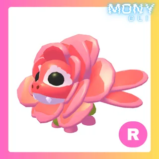 R ROSE DRAGON