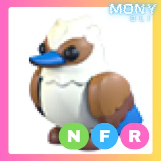 NFR KOOKABURRA