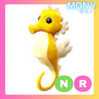 NR SEAHORSE