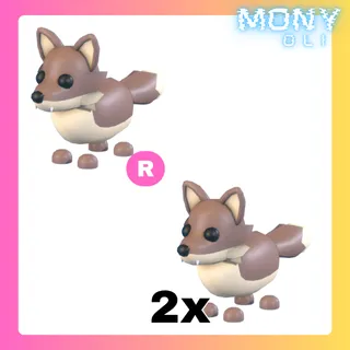 2X COYOTE + R COYOTE