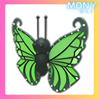 GREEN BUTTERFLY