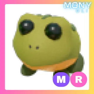 MR BULLFROG