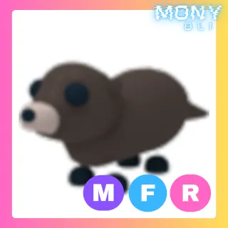 MFR OTTER