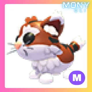 MEGA NEON MUNCHKIN CAT