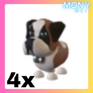 4X ST BERNARD 