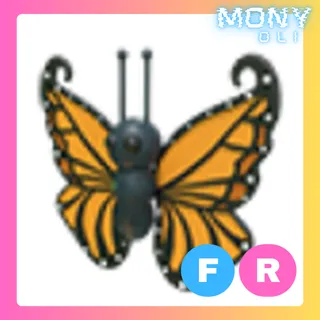FR ORANGE BUTTERFLY