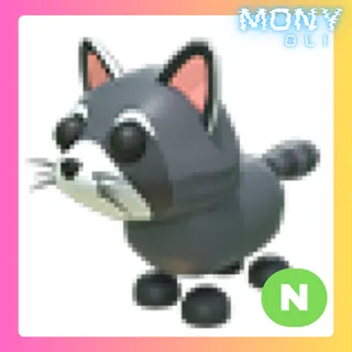 NEON RACCOON