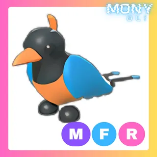 MFR BIRD OF PARADISE 