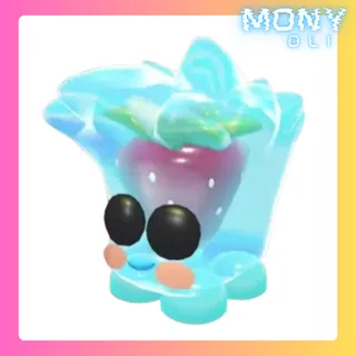 BERRY COOL CUBE 