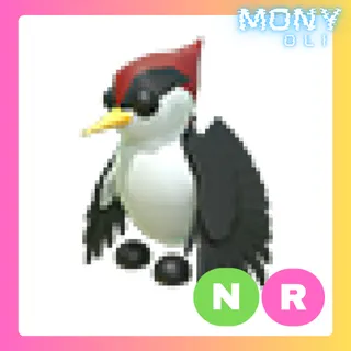 NR WOODPECKER 