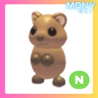 NEON QUOKKA