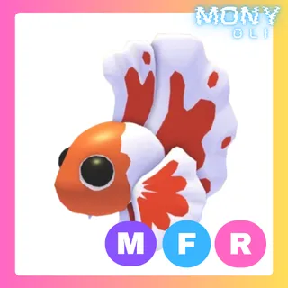 MFR ORANGE BETTA FISH 