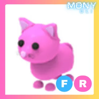 FR PINK CAT