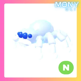 NEON CHILLING SPIDER