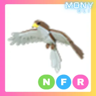 NFR HAWK 